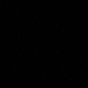 Meet your Posher, Josie